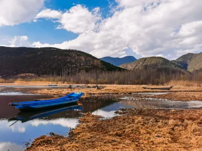 BigWins Casino Aplicación móvil